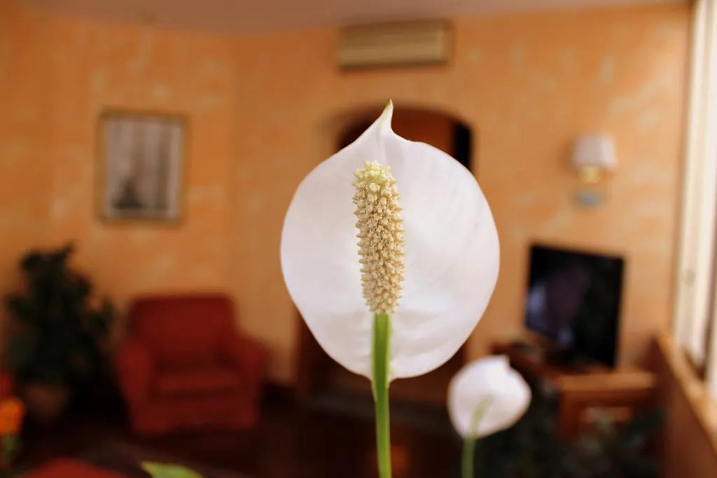 Hotel Beatrice Firenze